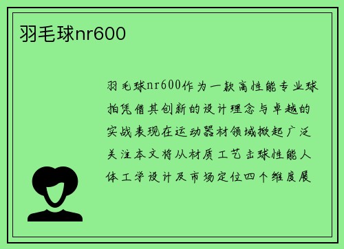 羽毛球nr600